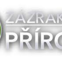 Zázraky přírody (29. března ČT1 20:05)